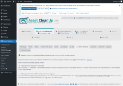 Page screenshot: Asset CleanUp &rarr; CSS/JS Manager &rarr;  Custom Taxonomy