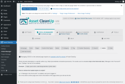 Page screenshot: Asset CleanUp &rarr; CSS/JS Manager &rarr;  Author