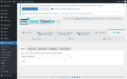 Page screenshot: Asset CleanUp &rarr; Tools