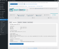 Page screenshot: Asset CleanUp &rarr; Tools &rarr; System Info