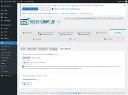 Page screenshot: Asset CleanUp &rarr; Tools &rarr; Import & Export