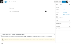 Page screenshot: Add New Page &lsaquo; Test site &mdash; WordPress