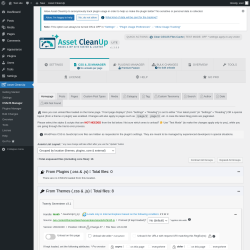 Page screenshot: Asset CleanUp &rarr; CSS/JS Manager