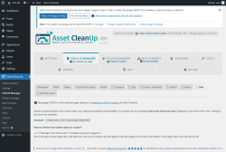 Page screenshot: Asset CleanUp &rarr; CSS/JS Manager &rarr;  Date