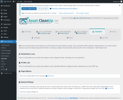 Page screenshot: Asset CleanUp &rarr; Overview
