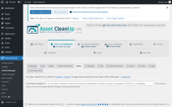 Page screenshot: Asset CleanUp &rarr; CSS/JS Manager &rarr; Media