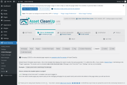 Page screenshot: Asset CleanUp &rarr; CSS/JS Manager &rarr;  Search