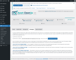 Page screenshot: Asset CleanUp &rarr; Tools &rarr; Debugging