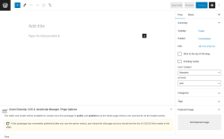 Page screenshot: Add New Post &lsaquo; Test site &mdash; WordPress