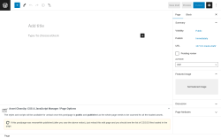 Page screenshot: Add New Page &lsaquo; Test site &mdash; WordPress
