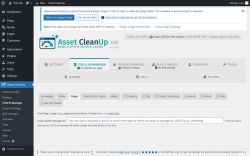 Page screenshot: Asset CleanUp &rarr; CSS/JS Manager &rarr; Pages