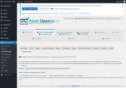 Page screenshot: Asset CleanUp &rarr; CSS/JS Manager &rarr;  404 Not Found