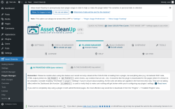 Page screenshot: Asset CleanUp &rarr; Plugins Manager