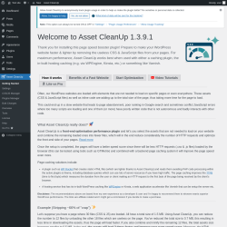 Page screenshot: Asset CleanUp