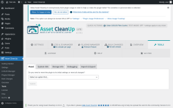 Page screenshot: Asset CleanUp &rarr; Tools