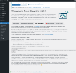 Page screenshot: Asset CleanUp &rarr; Start Optimization