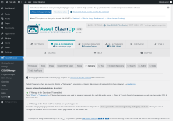 Page screenshot: Asset CleanUp &rarr; CSS/JS Manager &rarr;  Category