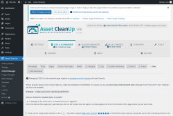 Page screenshot: Asset CleanUp &rarr; CSS/JS Manager &rarr;  Date