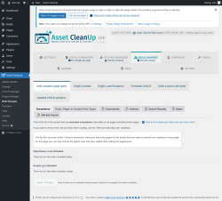 Page screenshot: Asset CleanUp &rarr; Bulk Changes