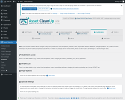 Page screenshot: Asset CleanUp &rarr; Overview