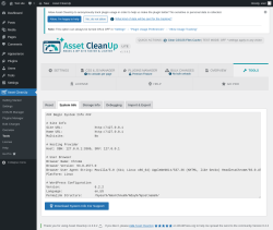Page screenshot: Asset CleanUp &rarr; Tools &rarr; System Info