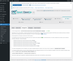 Page screenshot: Asset CleanUp &rarr; Tools &rarr; Storage Info
