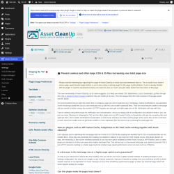 Page screenshot: Settings &rarr; Asset CleanUp