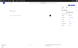 Page screenshot: Add Page &lsaquo; Test site &mdash; WordPress