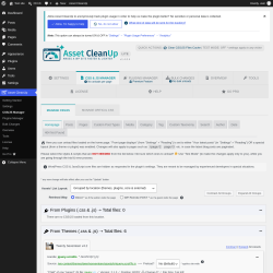 Page screenshot: Asset CleanUp &rarr; CSS/JS Manager