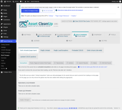 Page screenshot: Asset CleanUp &rarr; Bulk Changes