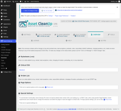 Page screenshot: Asset CleanUp &rarr; Overview