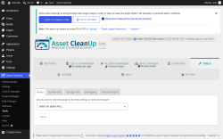 Page screenshot: Asset CleanUp &rarr; Tools