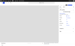 Page screenshot: Add Post &lsaquo; Test site &mdash; WordPress