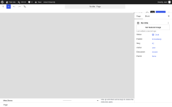 Page screenshot: Add Page &lsaquo; Test site &mdash; WordPress