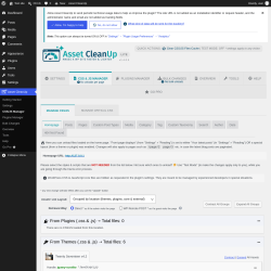 Page screenshot: Asset CleanUp &rarr; CSS/JS Manager
