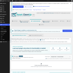 Page screenshot: Asset CleanUp &rarr; Plugins Manager
