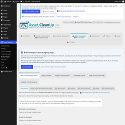 Page screenshot: Asset CleanUp &rarr; Bulk Changes