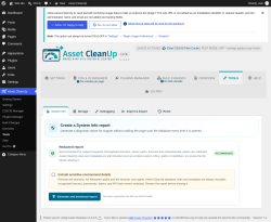 Page screenshot: Asset CleanUp &rarr; Tools