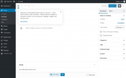 Page screenshot: Add New Post ‹ Test site — WordPress