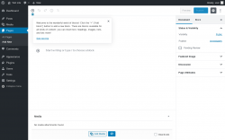 Page screenshot: Add New Page ‹ Test site — WordPress