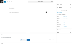 Page screenshot: Add Post ‹ Test site — WordPress