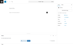 Page screenshot: Add Page ‹ Test site — WordPress