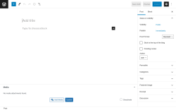 Page screenshot: Add New Post ‹ Test site — WordPress