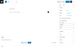 Page screenshot: Add New Post ‹ Test site — WordPress