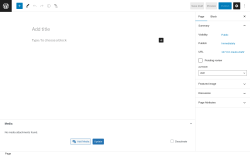 Page screenshot: Add New Page ‹ Test site — WordPress