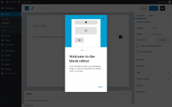Page screenshot: Add New Post ‹ Test site — WordPress