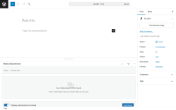 Page screenshot: Add Post ‹ Test site — WordPress