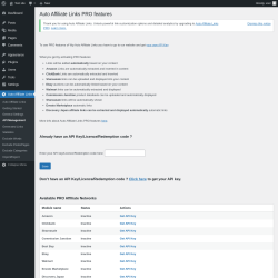 Page screenshot: Auto Affiliate Links → API Management