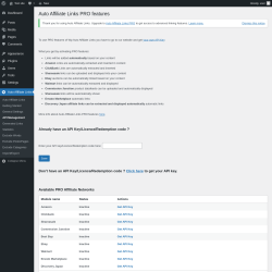 Page screenshot: Auto Affiliate Links → API Management