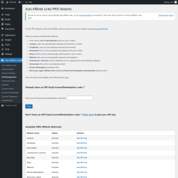 Page screenshot: Auto Affiliate Links &rarr; API Management